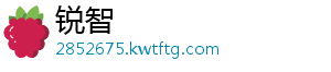 锐智